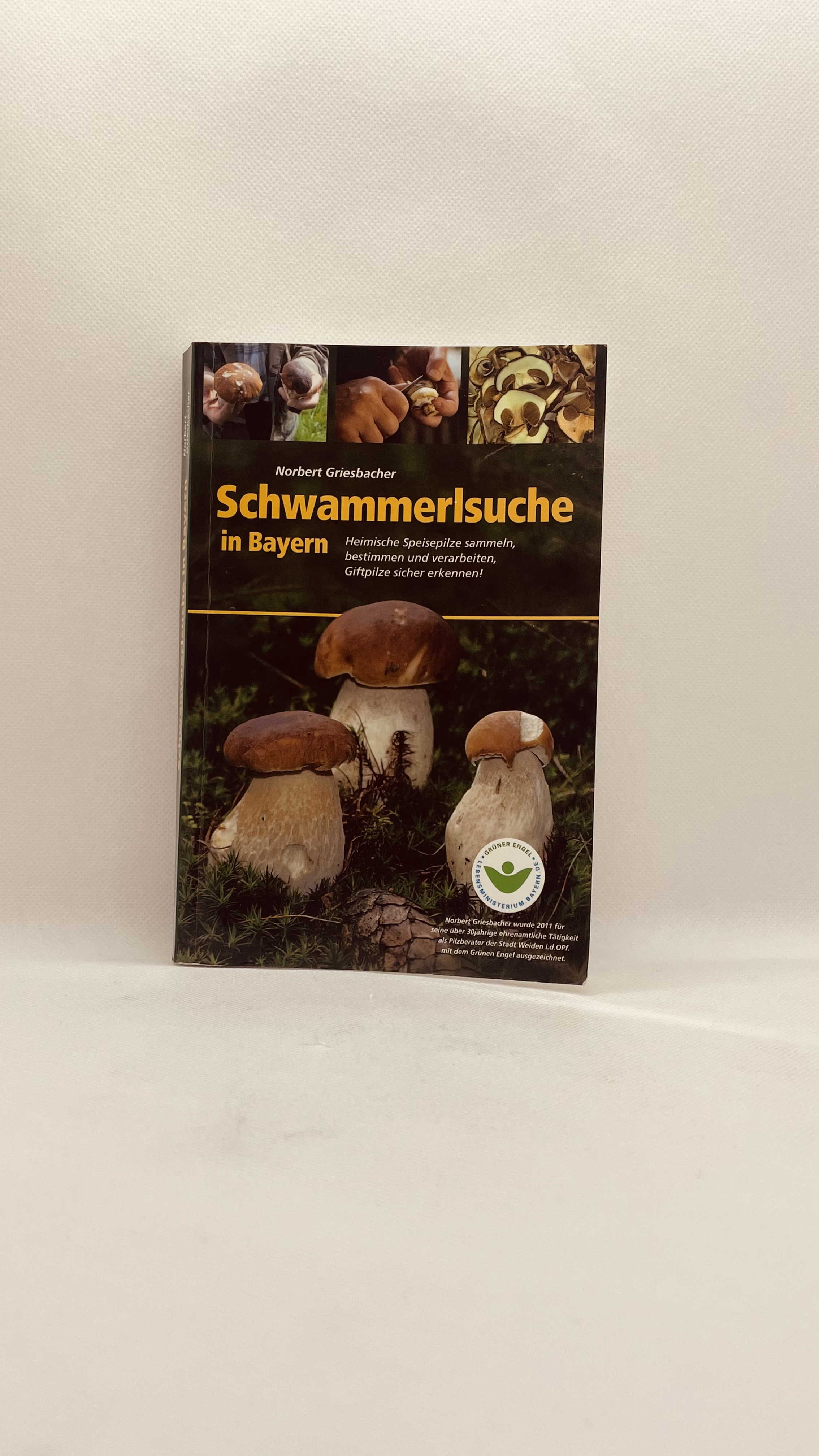 Schwammerlsuche in Bayern. Autor: Norbert Griesbacher. Foto: ARBERLAND REGio GmbH.