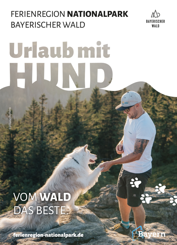 Urlaub mit Hund. Foto: Ferienregion Nationalpark Bayerischer Wald.