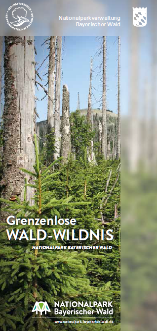 Grenzenlose Wald-Wildnis. Foto: Nationalpark Bayerischer Wald. Grenzenlose Wald-Wildnis. Foto: Nationalpark Bayerischer Wald.